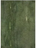 Jean Paul Gaultier Carta da parati Precieux - Vert