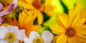 Quadro su tela – Bouquet estivo