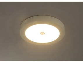 GLOBO 41605-18S - Lampada da soffitto LED da esterno con sensore PAULA 1xLED/18W/230V