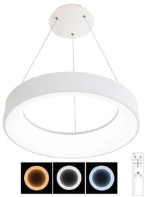 Ecolite EC0303 - Lampadario LED su filo dimmerabile NEST LED/40W/230V 3000-6500K