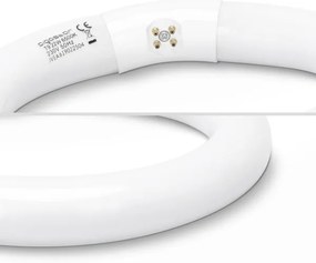 Tubo fluorescente T9 G24q-1/22W/230V 6500K - Aigostar