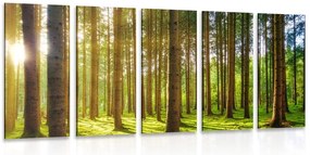 Quadri 5 pezzi – Mattina nella foresta