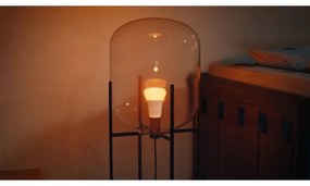 Lampadina LED dimmerabile Philips Hue WACA E27/11,8W/230V 1000-20000K