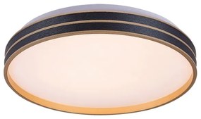 Rabalux 71141 - Plafoniera LED dimmerabile GANDOR LED/24W/230V 3000-6500K