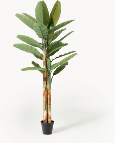 Pianta artificiale Banana Tree
