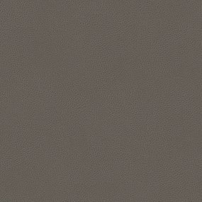 Bisont cuscino disponibile in diversi colori realizzato in microfibra effetto pelle smacchiabile T15 tortora