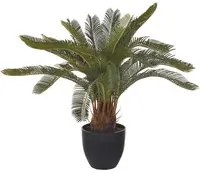 Pianta Artificiale Cycas con Vaso H 72 cm