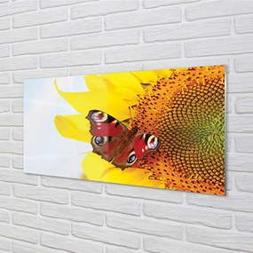 Quadro su vetro acrilico Farfalla di girasole 100x50 cm