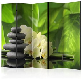 Paravento  Spa Garden II [Room Dividers]  Colore Verde, Dimensioni e Misure 225x172