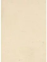 Terrastone Rustique floor - 15kg - 20 - champagner sienna - 15 kg
