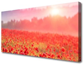 Quadro stampa su tela Prato, fiori, natura 100x50 cm