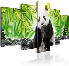 Quadro Sweet Little Panda  Colore Verde, Dimensioni e Misure 100x50