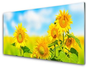 Quadro acrilico Girasole, fiori, natura 100x50 cm