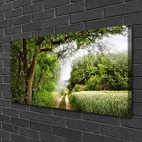 Quadro su tela Alberi del percorso della natura 100x50 cm