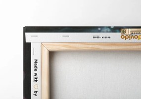 Quadro su tela – Magico fiore rosa