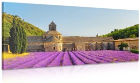 Stampa su tela – Provenza con campi di lavanda
