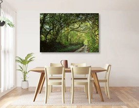 Quadro su tela – Foresta da fiaba