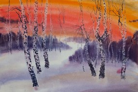 Carta da parati – Boschetto di betulle al tramonto
