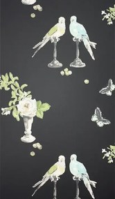 Nina Campbell Carta da parati Perroquet - Black