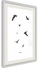 Poster  Birds  Cornice Quadri Cornice d'oro, Larghezza x Altezza Home decor 20x30