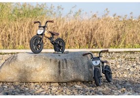 QPlay - Bici a spinta FEDURO nero/oro