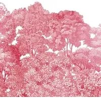 Rebel Walls Carta da parati panoramica Bellewood - Crimson