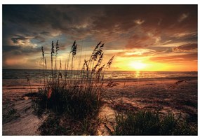 Carta da parati – Tramonto sulla spiaggia