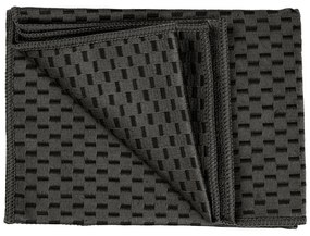 Set di 2 panni in microfibra 40x60 cm Miko - Wenko