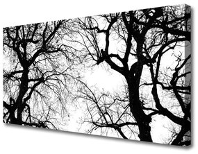 Quadro su tela Alberi della natura in bianco e nero 100x50 cm