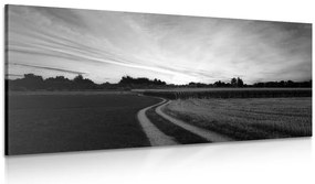 Stampa su tela – Tramonto sul paesaggio in bianco e nero