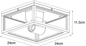 Plafoniera nera con vetro fumé 2 luci IP44 - Charlois