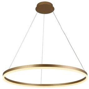 Brilagi - Lampadario a sospensione con filo LED dimmerabile CIRCLE LED/55W/230V 3000-6500K oro + +TC