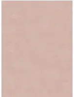 Boråstapeter Carta da parati Shades - Rhodonite