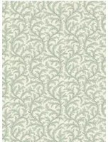 Josephine Munsey Carta da parati Frond Ogee - Radmoor Blue and Clarke White