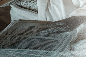 Quadro su tela – Coccodrillo con giornale in bagno
