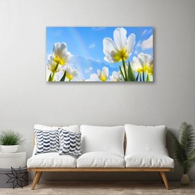 Quadro su tela Piante, fiori, tulipani 100x50 cm