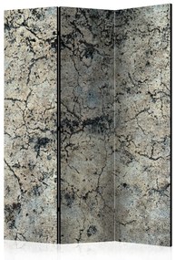 Paravento separè Pietra crepata (3 parti) - composizione con sfondo grigio