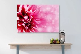 Stampa su tela – Fiore rosa