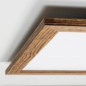 Brilagi - Luce LED dimmerabile SLIMFRAME WOOD LED/58W/230V 64x64 cm + +TC