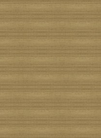 Arte International Tapete Line - Bronze