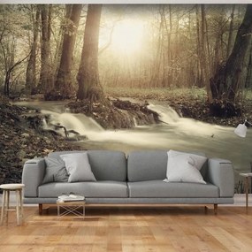 Fotomurale adesivo  Forest Cascade  Larghezza x Altezza Home decor 98x70