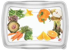 Set di 3 scatole per alimenti Classic, 1 l - Snips