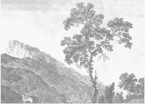 Carta da parati in tessuto non tessuto Engraved Landscapes I