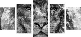 Quadri 5 pezzi – Volto di leone in bianco e nero
