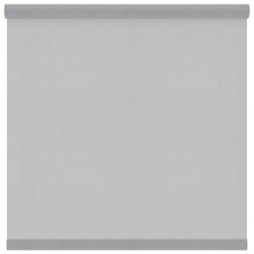 Tessuto per tende a rullo filtrante INSPIRE Canberra grigio / argento 177 x 250 cm