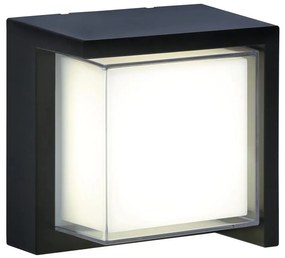 Applique a LED da esterno ESSEN LED/12W/230V IP44 nero