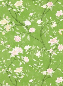 Zoffany Tapete Nostell Priory - Evergreen