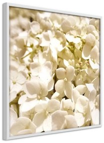 Poster Soothing Flowers
