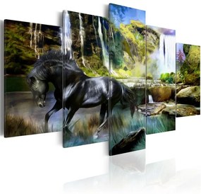 Quadro Destriero nero sullo sfondo di una cascata paradisiaca  Colore Grigio, Dimensioni e Misure 200x100