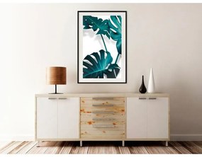 Poster Turquoise Monstera II